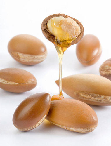 Argan Oil Argania spinosa Organic