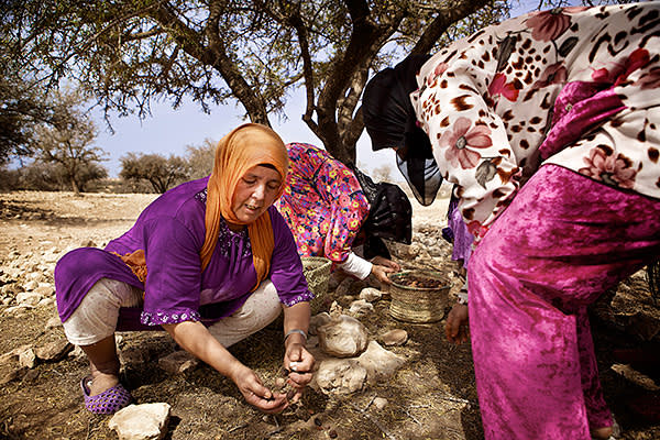 زيت الأركان العضوي (Argania spinosa)