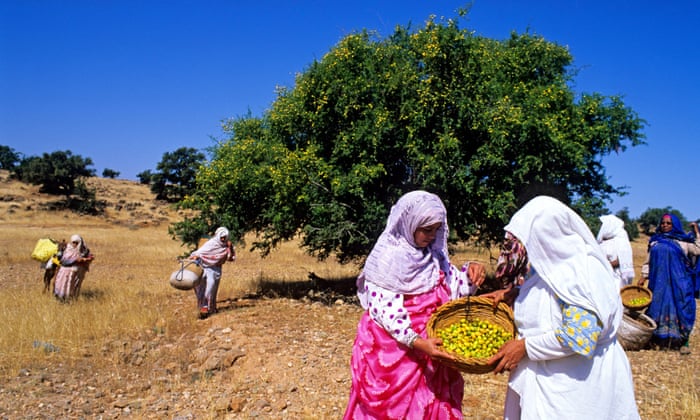 زيت الأركان العضوي (Argania spinosa)