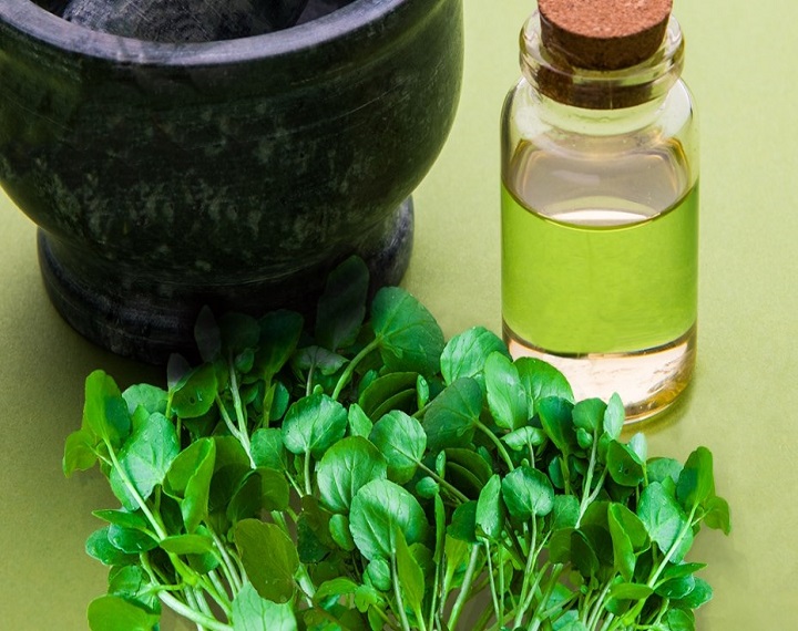Rocket Seed Eruca Sativa Oil Organic & Conventional