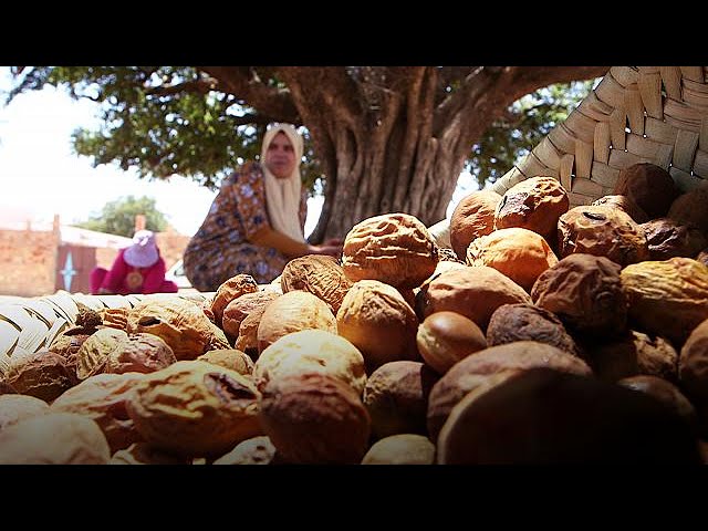 زيت الأركان العضوي (Argania spinosa)