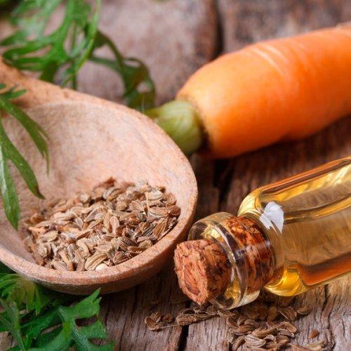 Carrot Seed Daucus Carota Oil Organic & Conventional