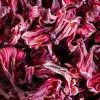 Hibiscus sabdariffa Flowers Shipped in 20" FCL Container