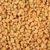 Fenugreek Seed Trigonella-Foenum in Bulk packaging Shipped in 20" FCL Container