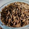 Caraway Seeds Carum carvi in Bulk packaging Shipped in 20" FCL Container