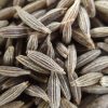Cumin Seeds Cuminum cyminum in Bulk packaging Shipped in 20" FCL Container