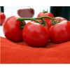 Sun dried Tomato Solanum lycopersicum in bulk packaging